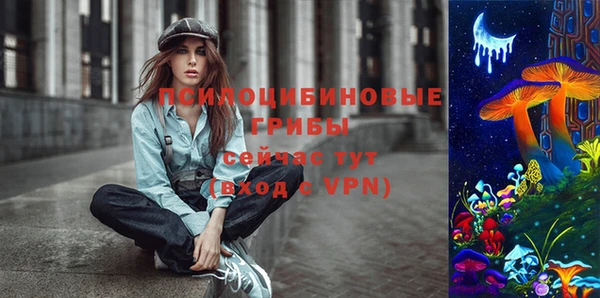 скорость Алзамай