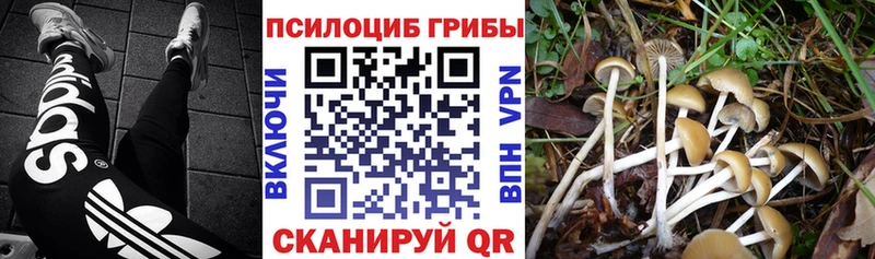 Галлюциногенные грибы мицелий kraken сайт Юрьев-Польский